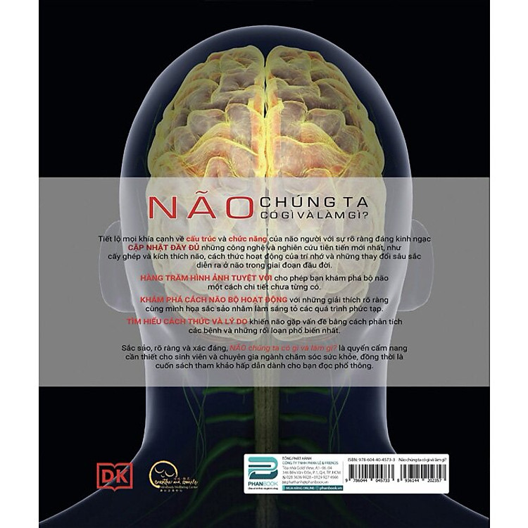 Não Chúng Ta Có Gì Và Làm Gì? - Ảnh 4