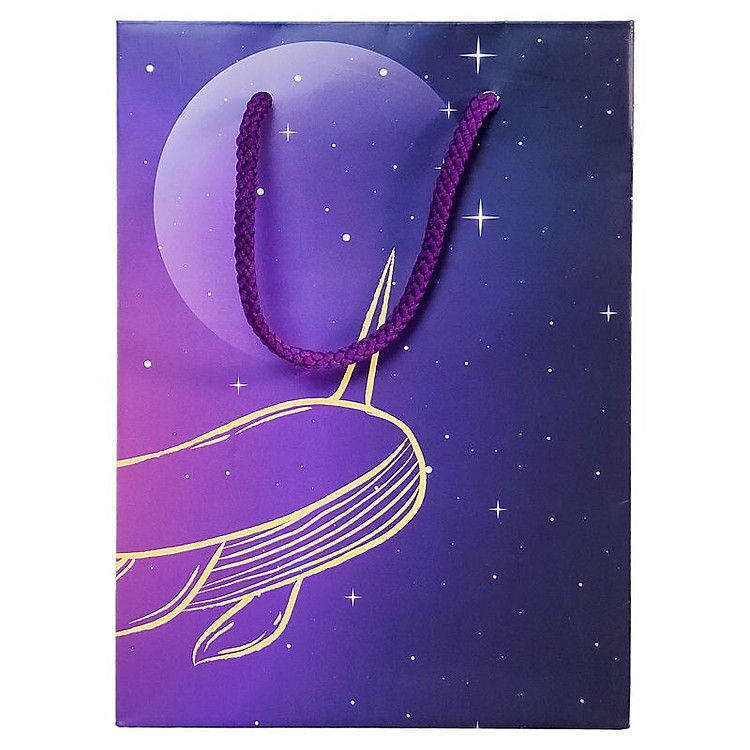 Túi Đựng Quà 16 x 22 x 8 cm - The Whale - Ảnh 3