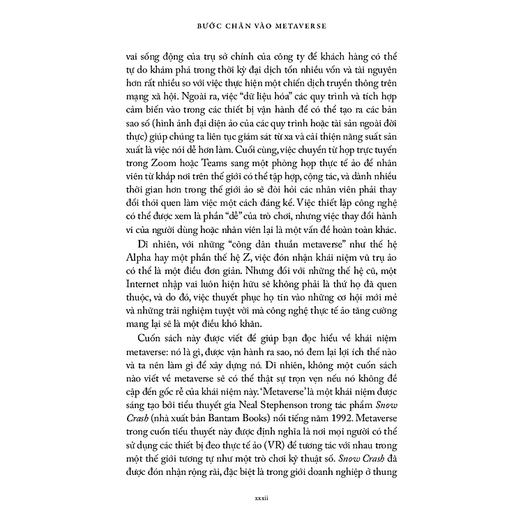 Bước Chân Vào Metaverse - Ảnh 5