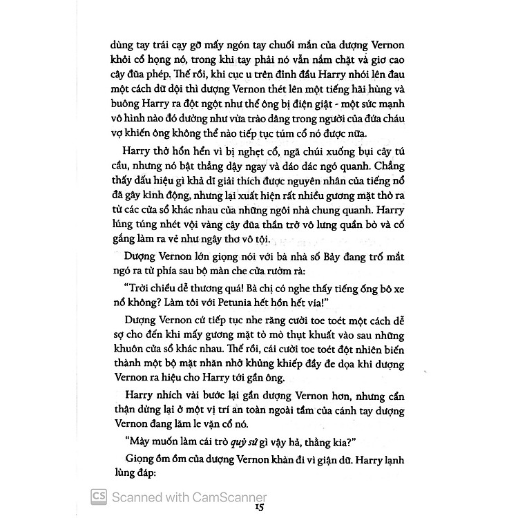 Harry Potter và Hội Phượng Hoàng (Tập 5) - Ảnh 4