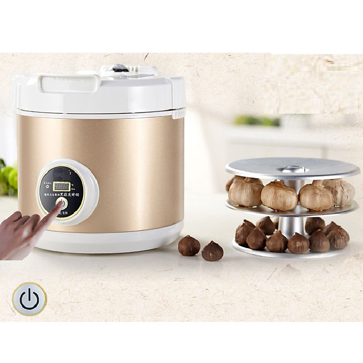 Máy làm tỏi đen