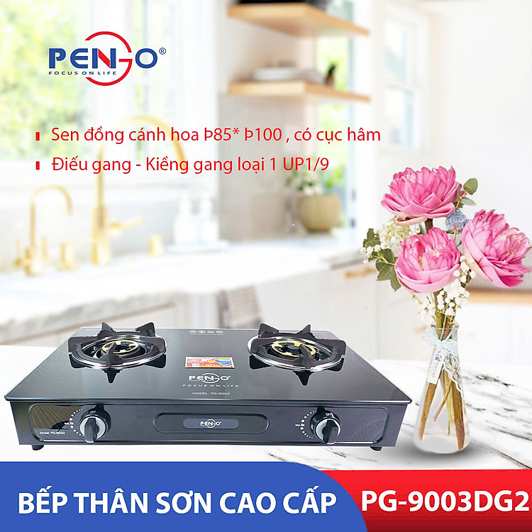 Bếp ga đôi mặt kính cao cấp Pengo PG-9003 DG2( Hàng chính hãng)