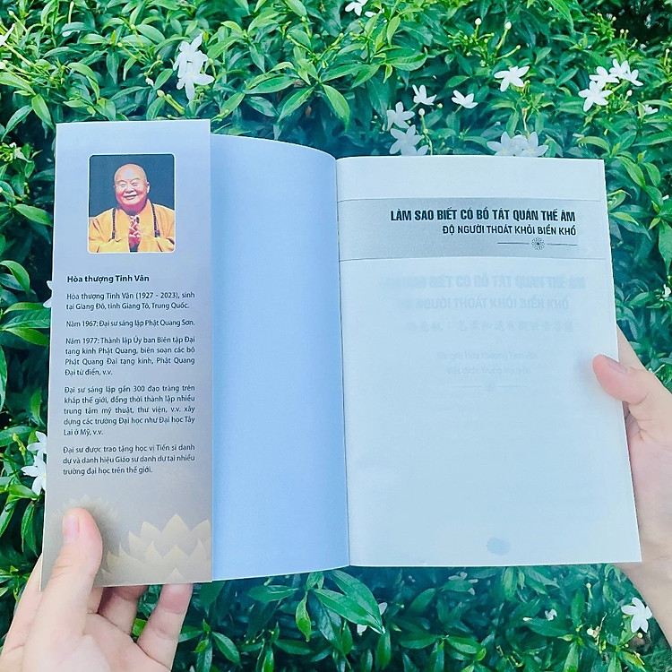 Làm Sao Biết Có Bồ Tát Quán Thế Âm Độ Người Thoát Khỏi Biển Khổ - Ảnh 2