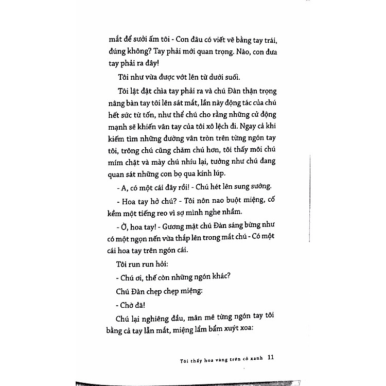 Tôi Thấy Hoa Vàng Trên Cỏ Xanh - Ảnh 5