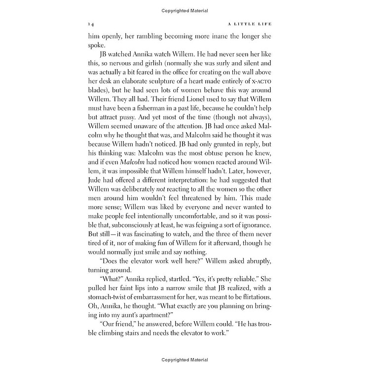 A Little Life - Ảnh 7