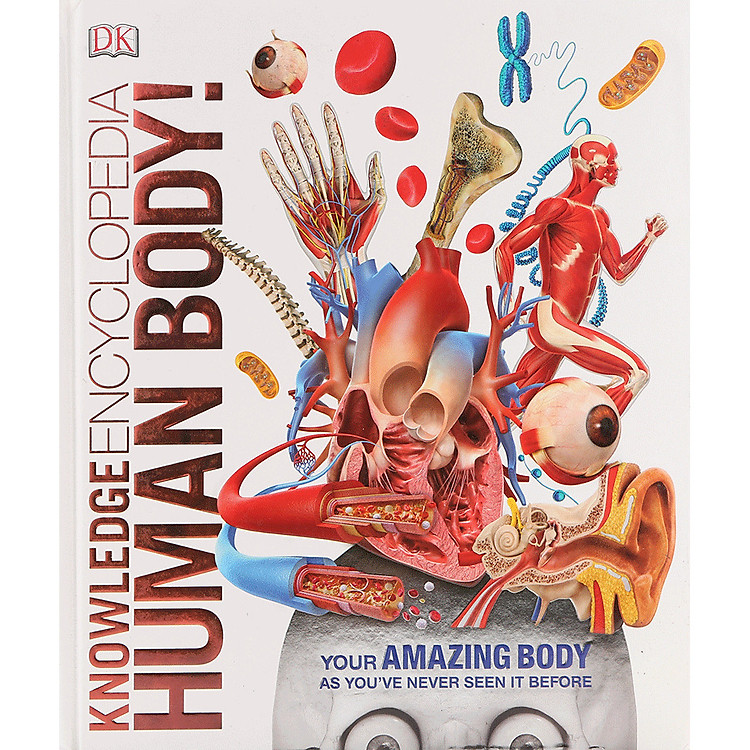 Sách Knowledge Encyclopedia Human Body!