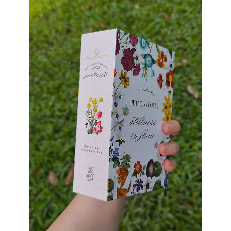 Bộ Postcard Petala & Folia - Giấy Mỹ Thuật 300g (100 chiếc) - Ảnh 3