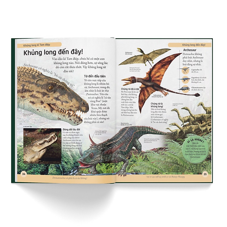 Bách Khoa Cho Trẻ Em – Bách Khoa Khủng Long - Ảnh 5