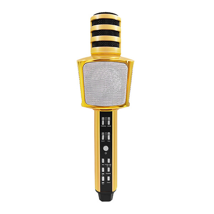 Micro karaoke Bluetooth có loa 3 trong 1 PF165 SD17