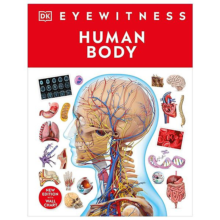 Eyewitness – Human Body
