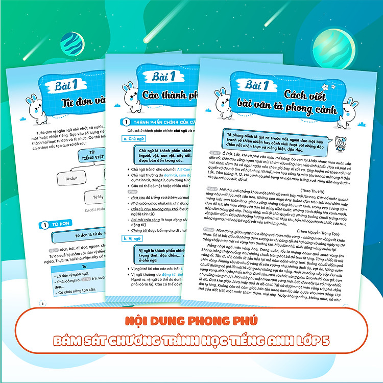 Giải thích và ôn luyện chuyên đề Tiếng Việt thi vào lớp 6 - Ảnh 6