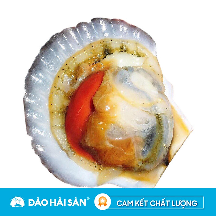 Sò Điệp Nhật Khay 1Kg