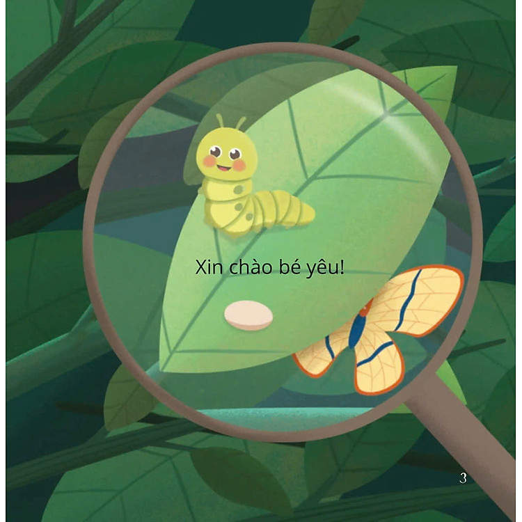 Bé Thông Minh - Đóng Mở Kì Diệu - Bên Dưới Chiếc Lá - Ảnh 3