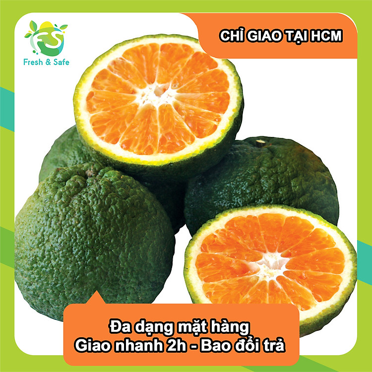 [CHỈ GIAO HCM] Cam sành - 1kg / 5kg