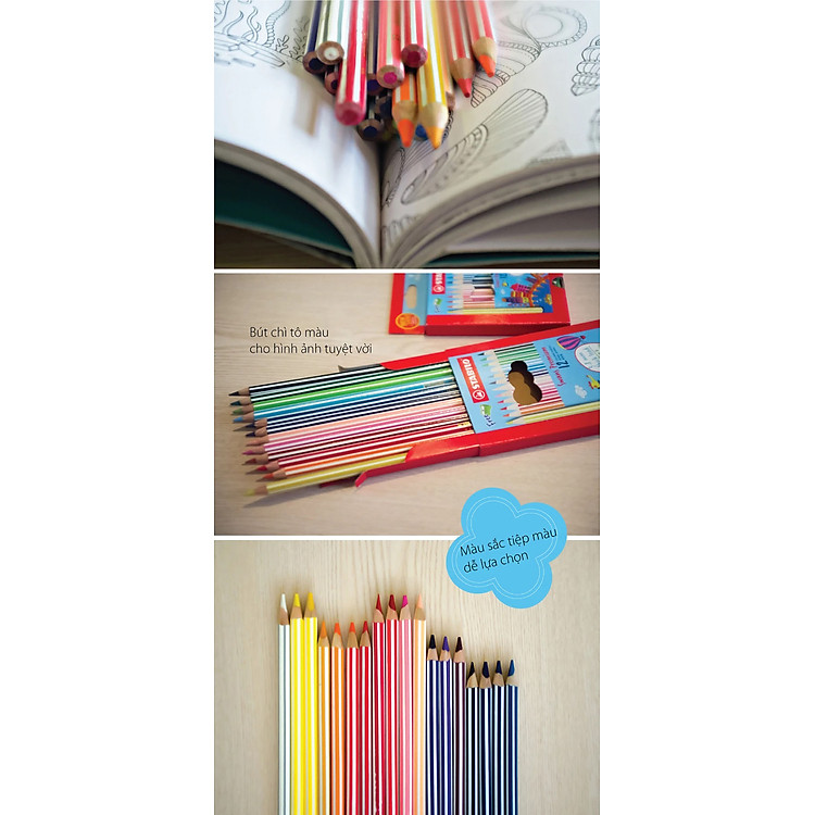 Bộ Bút Chì Màu Swans (12 màu) - Ảnh 4