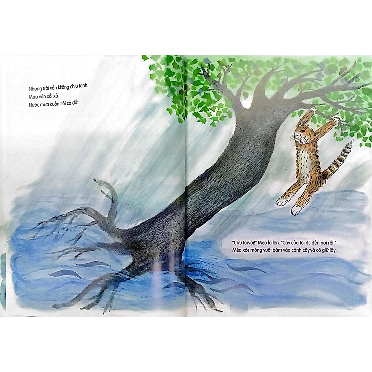 Lại Đây Nào!" - Mèo Bảo - Ảnh 4