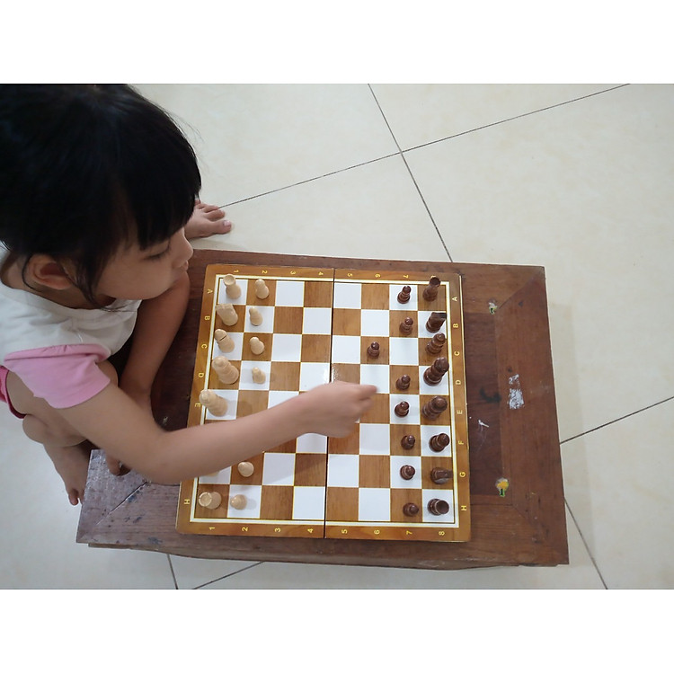 Bộ cờ vua gỗ cao cấp DAICAT Chính hãng Ưu đãi - Hình ảnh 5