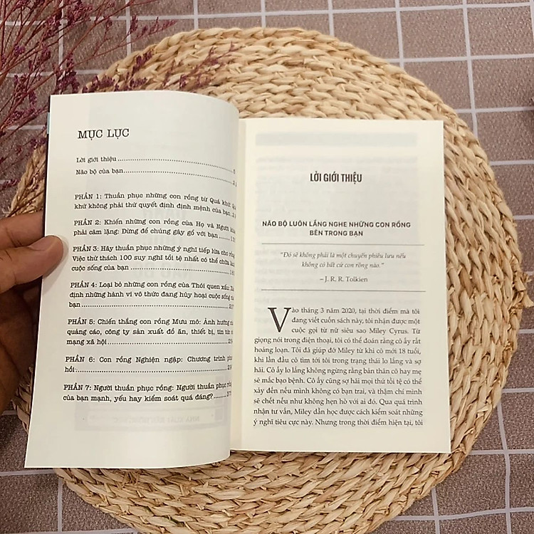 Đánh Thức Não Bộ, Huấn Luyện Não Bộ Học Siêu Tốc - Ảnh 6