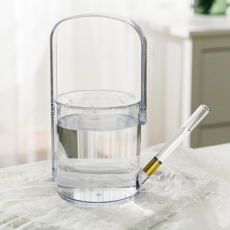 Watering Can for Indoor Plants Long Spout House Plants 1L Small Watering Can