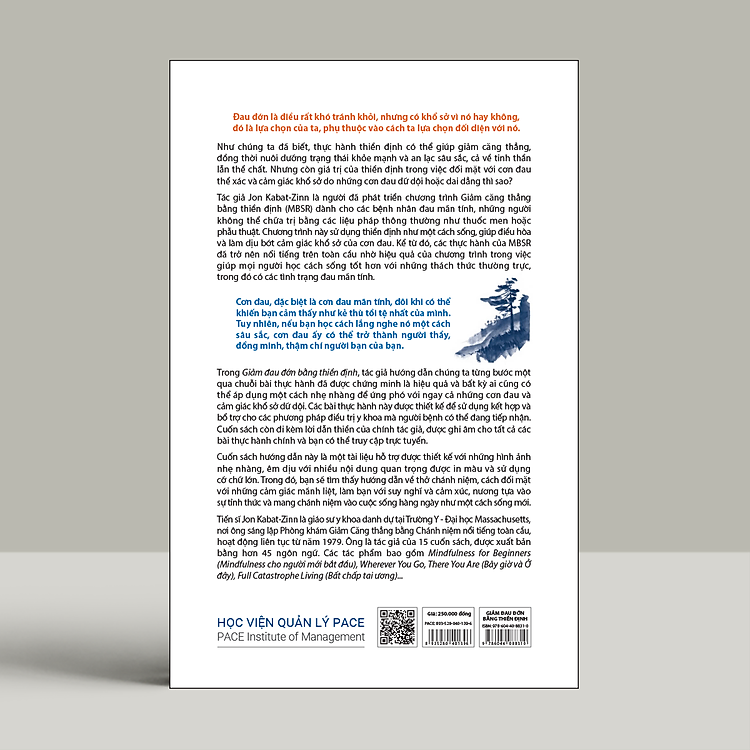 Giảm Đau Đớn Bằng Thiền Định - Ảnh 4