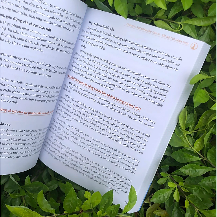 Tri Thức Cho Một Thai Kì Khỏe Mạnh - Ảnh 4