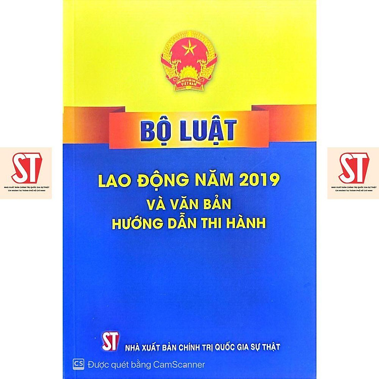 Bộ Luật Lao Động Năm 2019 Và Văn Bản Hướng Dẫn Thi Hành - Ảnh 5