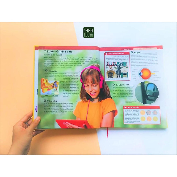 Human Body - Bách Khoa Toàn Thư Về Cơ Thể Của Chúng Ta - Ảnh 7