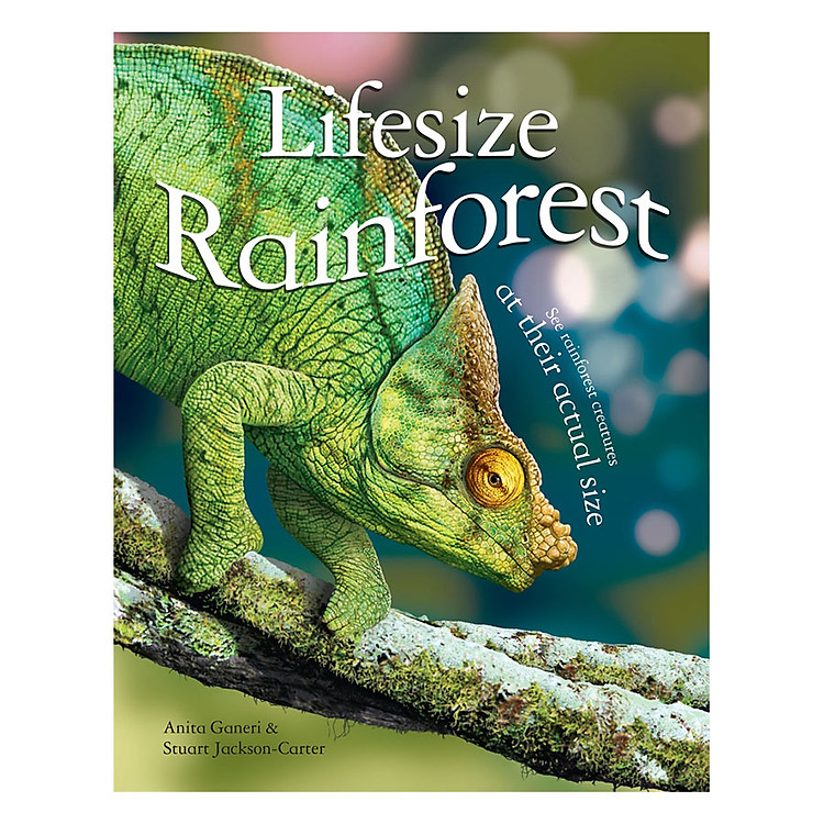 Sách Lifesize Rainforest