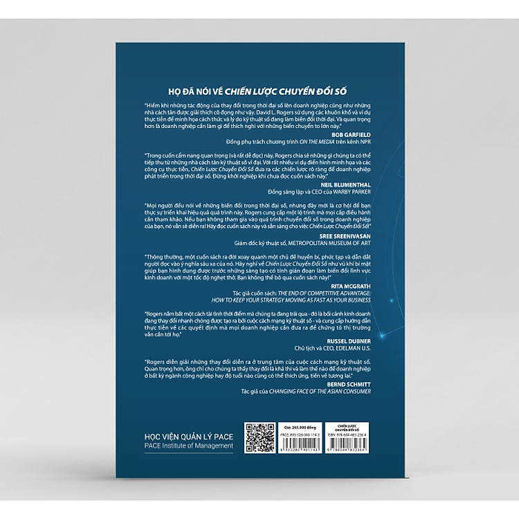 Chiến Lược Chuyển Đổi Số - Ảnh 2