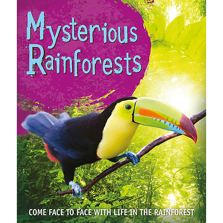 Sách Fast Facts! Mysterious Rainforests