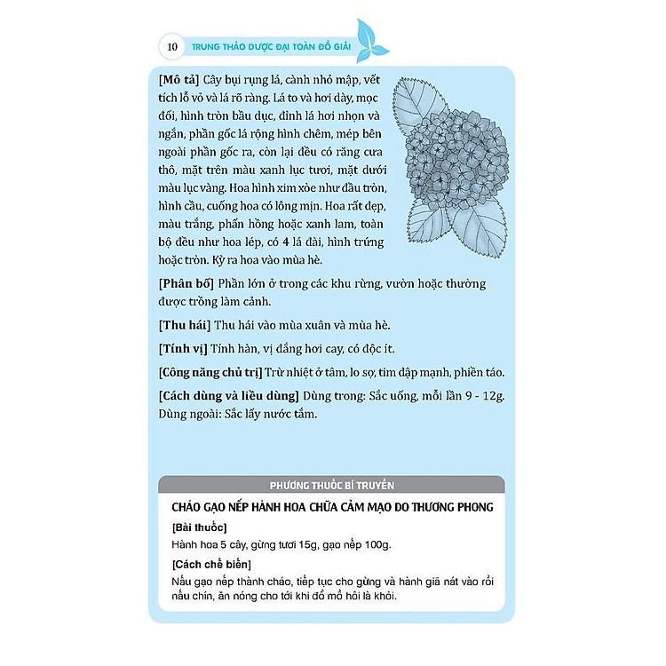 Trung Thảo Dược Đại Toàn - Đồ Giải - Ảnh 7