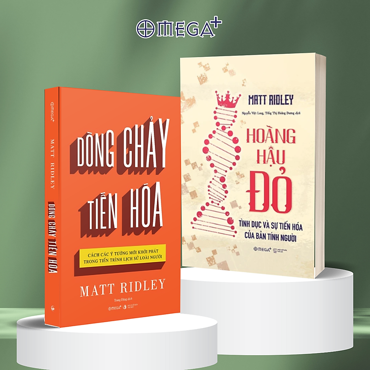 Dòng Chảy Tiến Hóa – Cách Các Ý Tưởng Mới Khởi Phát Trong Tiến Trình Lịch Sử Loài Người