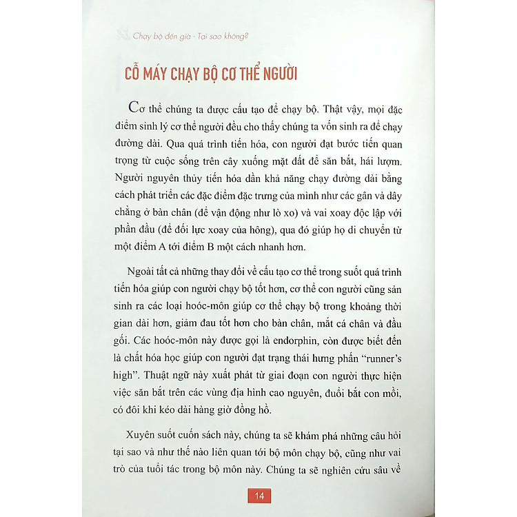 Chạy Bộ Đến Già – Phương Pháp Chạy Bộ Không Chấn Thương - Ảnh 3