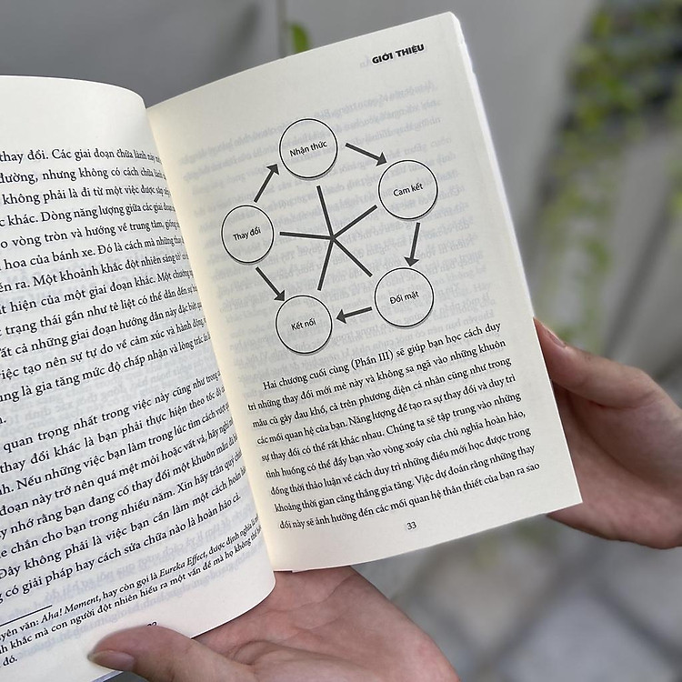 Trầm Cảm Ẩn - Cách Thoát Khỏi Chủ Nghĩa Hoàn Hảo Đang Che Đậy Căn Bệnh Trầm Cảm Của Bạn - Ảnh 7