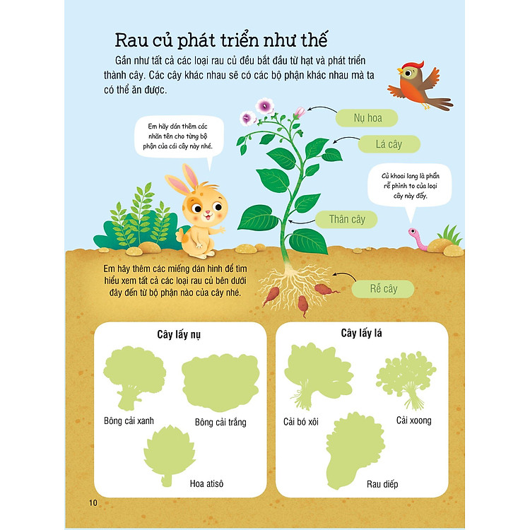 First Sticker Book - Sách Dán Hình Đầu Đời Cho Bé - Trái Cây Và Rau Củ - Ảnh 3