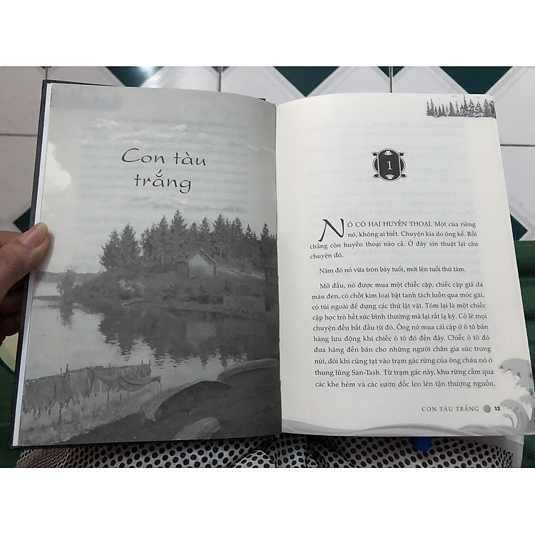 Con tàu trắng - Ảnh 4