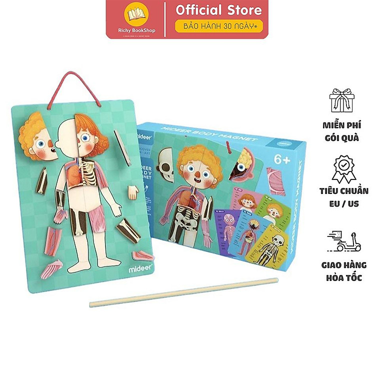 Đồ Chơi Xếp Hình Nam Châm Cơ Thể Mideer Chính hãng Giá rẻ