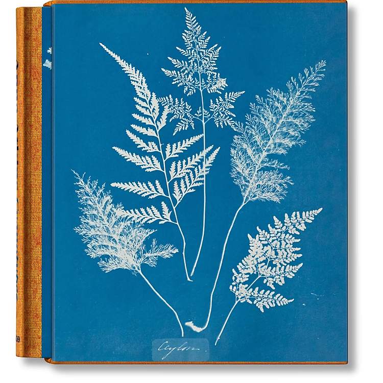 Anna Atkins: Cyanotypes