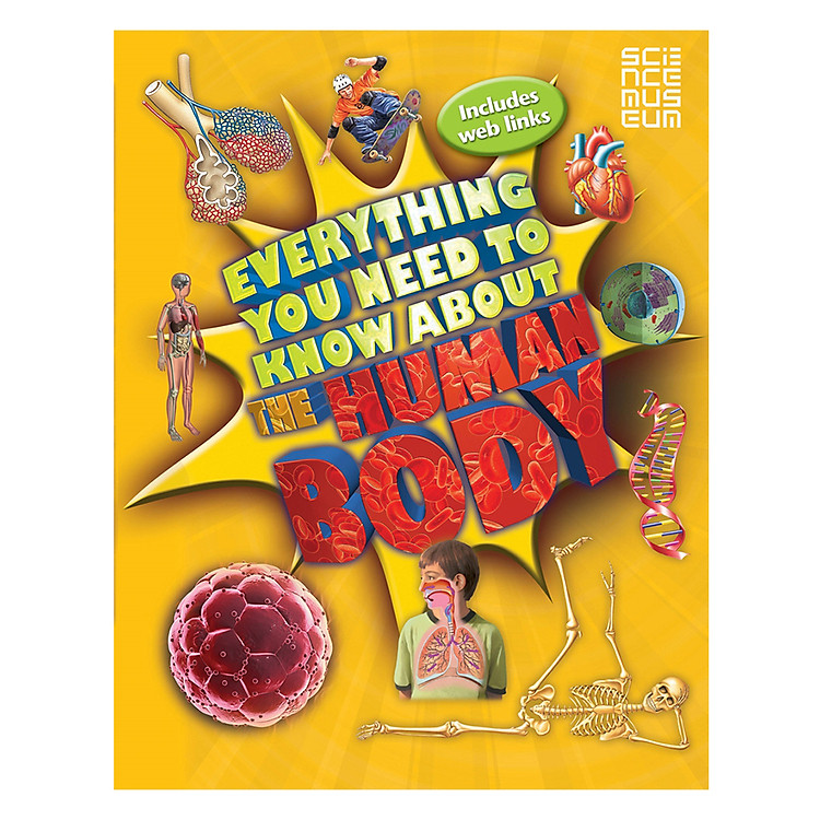 Sách Everything You Need To Know About The Human Body