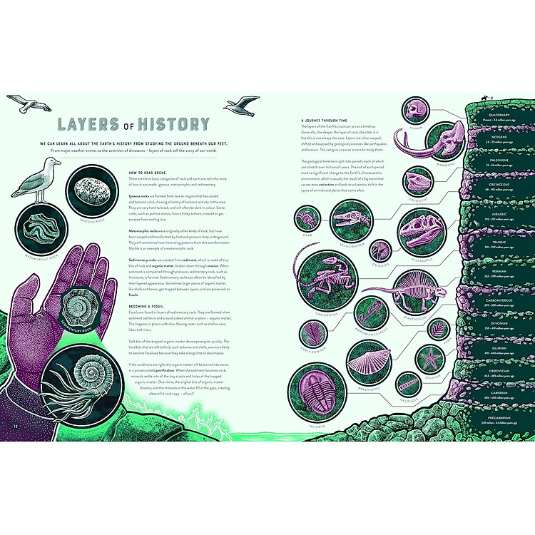 Bang The Wild Wonders Of Earth’S Phenomena - Ảnh 6