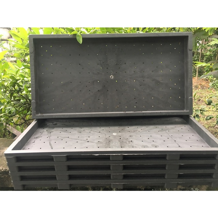 Bộ 5 Khay trồng Cỏ Lúa Mì