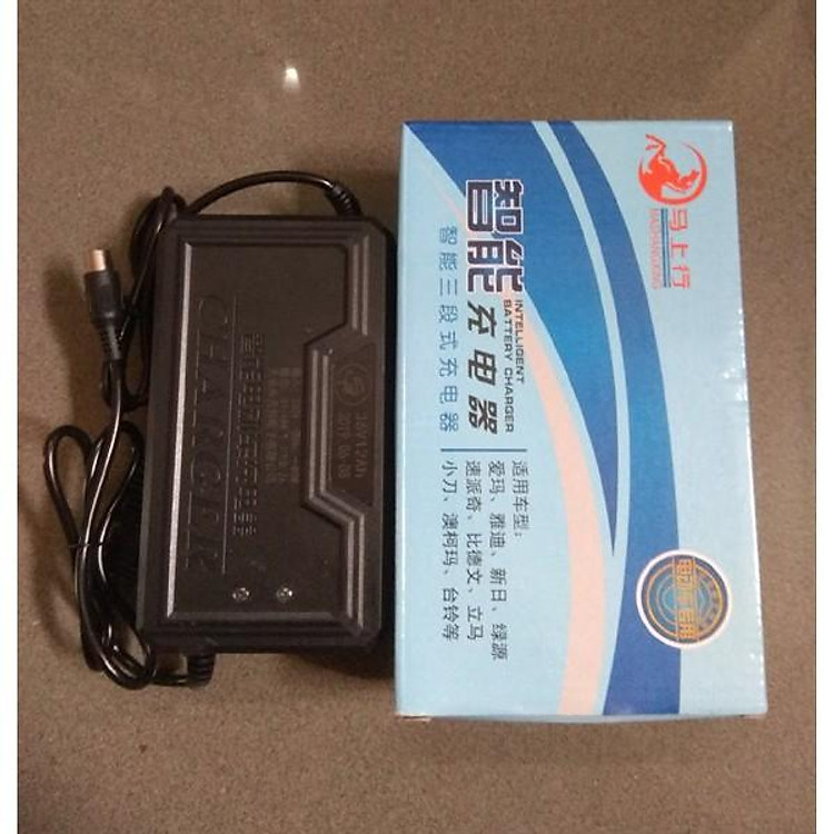 SẠC XE ĐẠP ĐIỆN 36/12 TRÒN