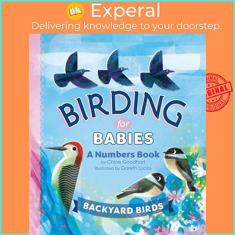 Sách - Birding for Babies: Backyard Birds - A Numbers Book by Gareth Lucas (UK edition, boardbook)