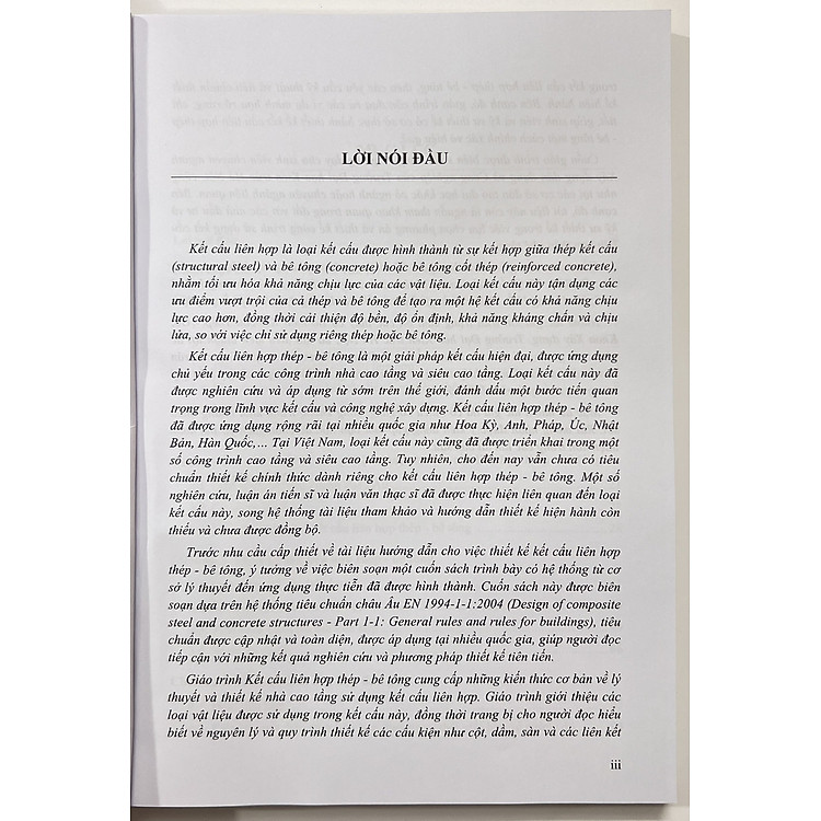 Kết Cấu Liên Hợp Thép - Bê Tông - Ảnh 3