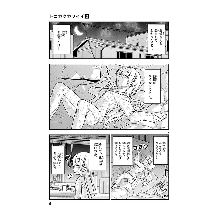 Tonikaku Kawaii 3 - Fly Me To The Moon 3 (Japanese Edition) - Ảnh 2