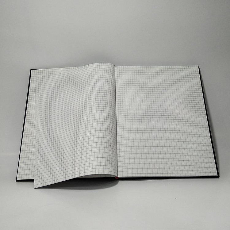 Sổ Caro 240 Tr (Bìa Simili) - Ảnh 5