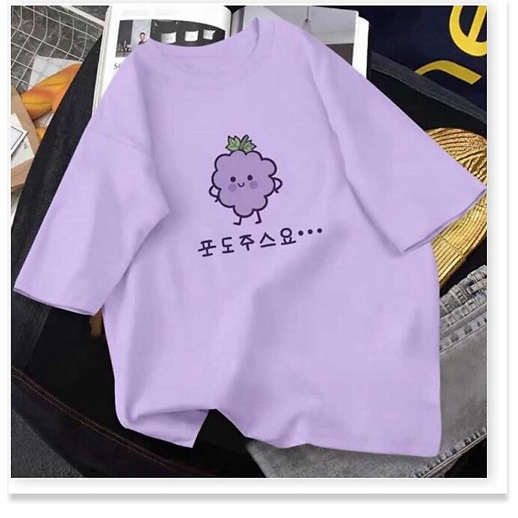 Áo phông chùm nho siêu đẹp HARI AQA1807 15 aomivn