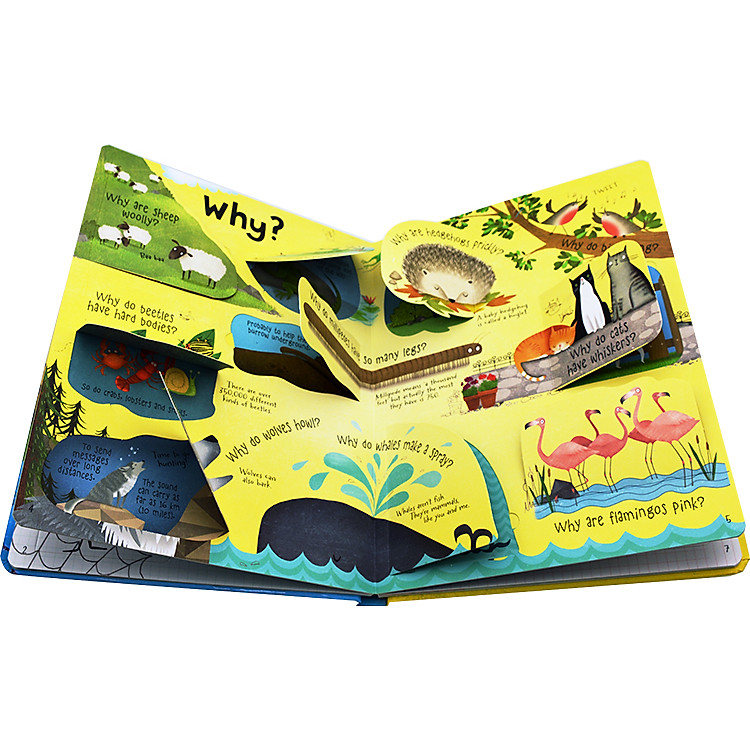 Sách tương tác tiếng Anh - Usborne Lift-the-flap Questions and Answers about Animals