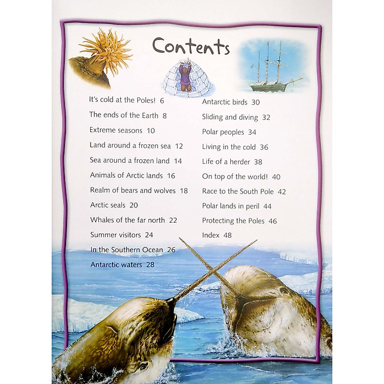 100 Facts Polar Lands - Ảnh 7