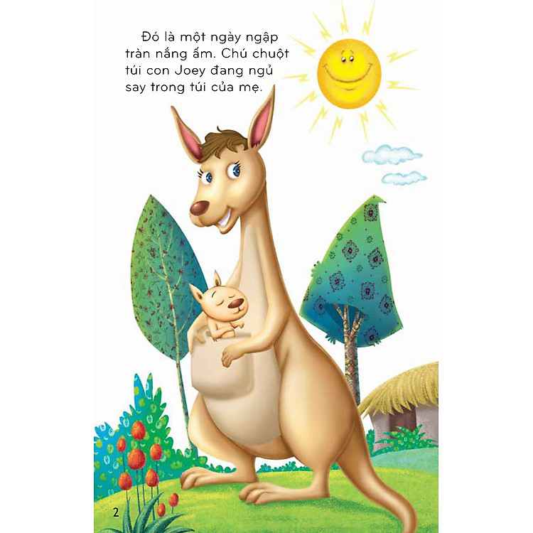 Thế Giới Tuyệt Vời Của Động Vật - Chuột Túi Và Gấu Túi - Ảnh 4